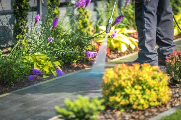 Best Fence Cleaning and Maintenance in Southaven, MS